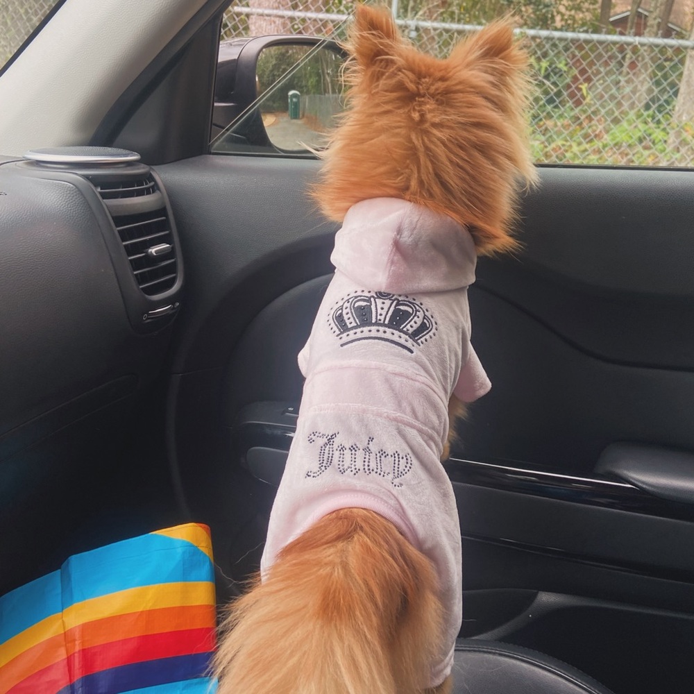Juicy Couture Dog Clothes